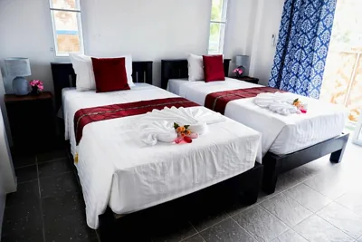 Habitación Superior con dos camas — Kingsacre